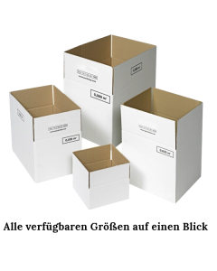 Faltkarton weiß 1 + 2 wellig