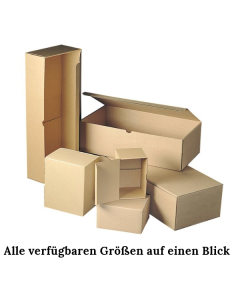 Klappdeckelbox 