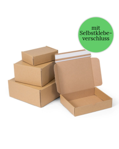 Klappdeckelbox 1-wellig mit Selbstklebeverschluss 