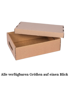 Stülpkarton 2-teilig mit Griffloch