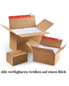 Versandkarton mit Blitzboden, Selbstklebeverschluss und Höhenriller