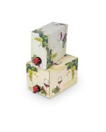 Bag-in-Box Karton mit Weinglas und Weinreben 5L #71056